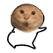 yaobai.jpg